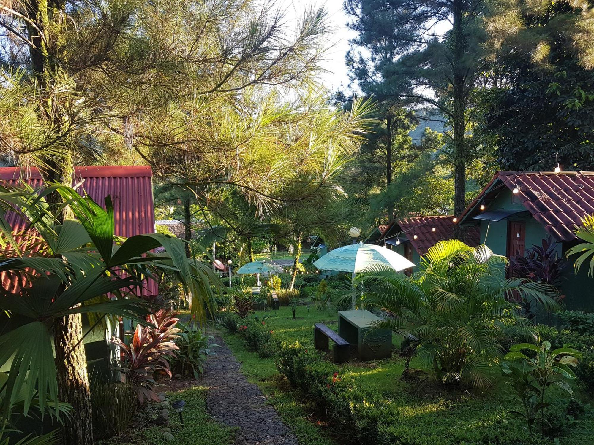 Los Pinos De Torio Exterior foto